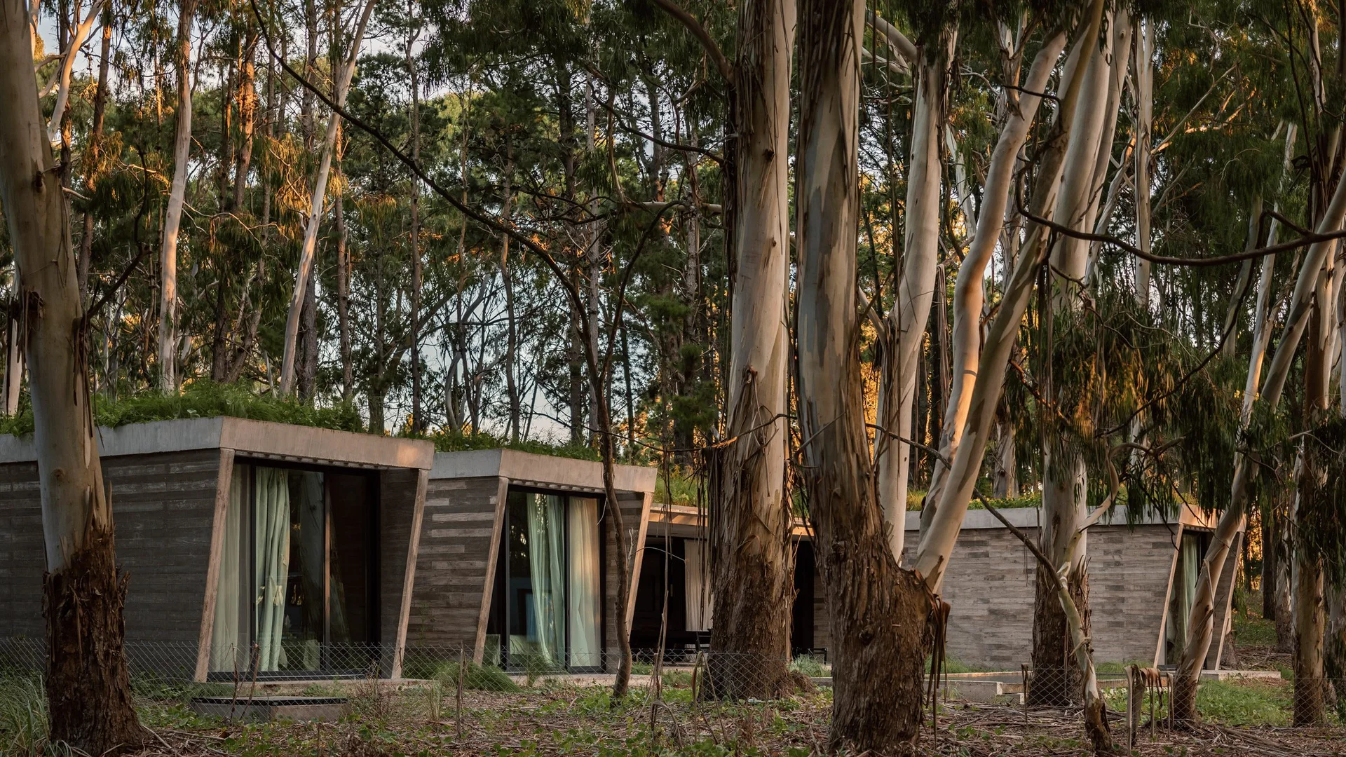 Eco-friendly wooden shelter in Argentina coastal dunes at sunset